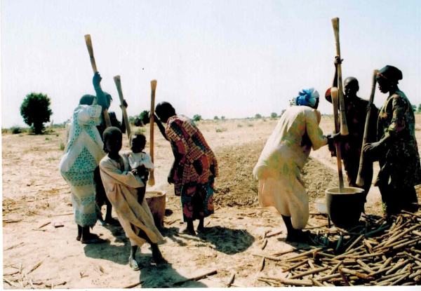 Six women - mortar and pestle - grain threshing, Borno State, Nigeria, 2006